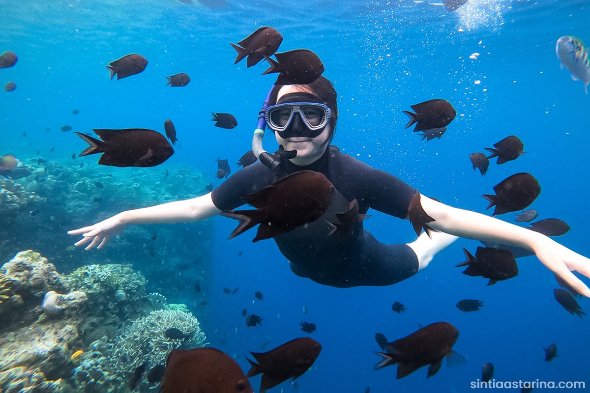 snorkeling-di-taman-laut-bunaken-manado,-rasanya-kayak-mimpi!