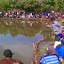 2-ramuan-jitu-umpan-mancing-ikan-bawal-air-tawar