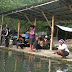 ramuan-umpan-ikan-mas-pada-air-dingin