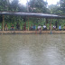 ramuan-umpan-ikan-mas-saat-turun-hujan