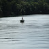 cara-mancing-ikan-belida-beserta-umpan-jitunya