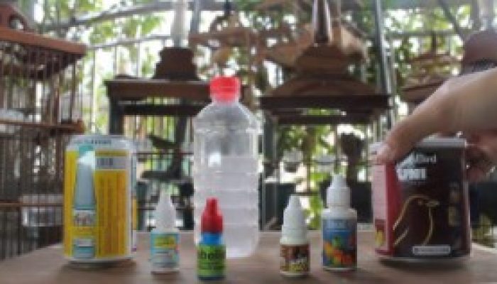 cara-membuat-doping-alami-untuk-pleci