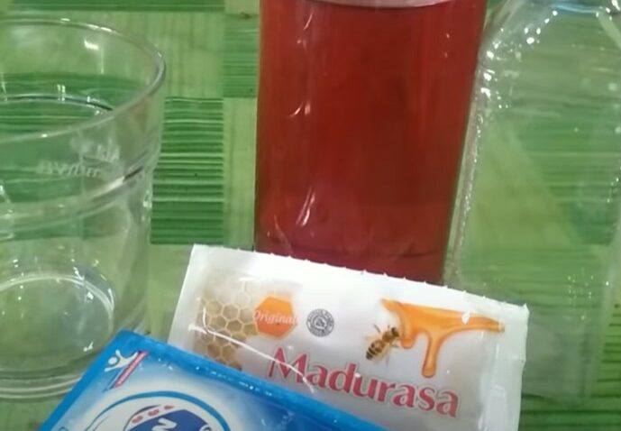 Tips Racikan Makanan Kolibri Ninja Biar Gacor
