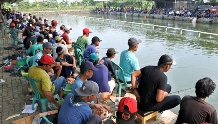 event-raja-hibar-feat-bayu-mandiri,-tiket-5-juta,-juara-1-raih-46-juta,-telaga-silet-borong-juara
