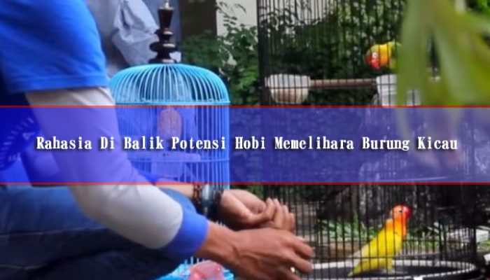 rahasia-di-balik-potensi-hobi-memelihara-burung-kicau