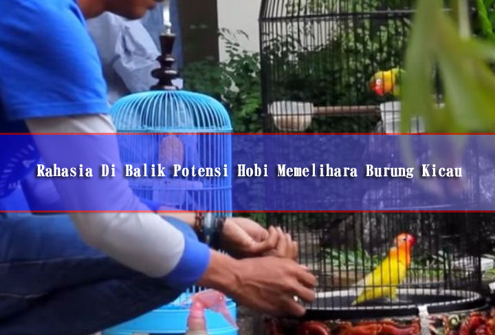 Rahasia Di Balik Potensi Hobi Memelihara Burung Kicau