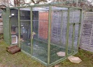Cara Membuat Kandang Aviary Outdoor
