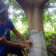 baraka,-relawan-kampung-yang-dijuluki-pembuat-pabrik-oksigen-dan-air