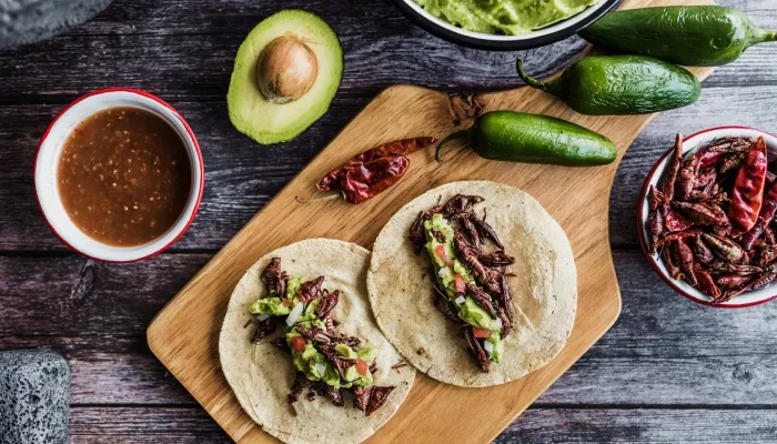 belalang,-dari-hama-hingga-camilan-di-meja