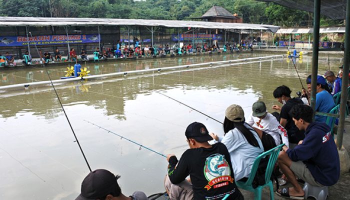berkah-fishing-2-:-tersedia-kolam-harian,-kiloan,-galatama-mas-&-galapung