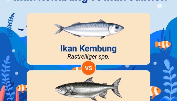 kandungan-gizi-ikan-kembung-vs-ikan-salmon