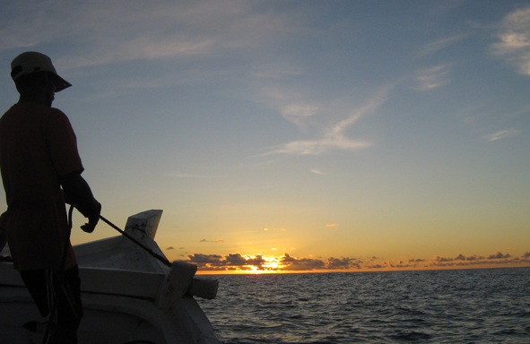 serunya-mancing-top-water,-mancing-di-permukaan-air,-berikut-ulasannya