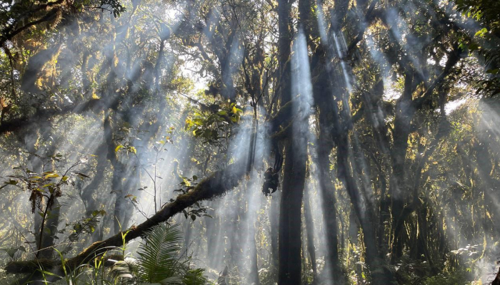 triple-m-di-aceh-besar,-permata-tersembunyi-yang-tak-kalah-indah-dari-gunung-leuser