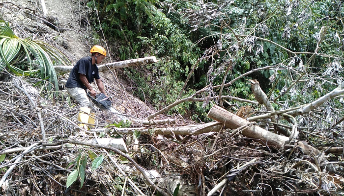 ekosentrisme-:-seni-merawat-lingkungan-lewat-akal