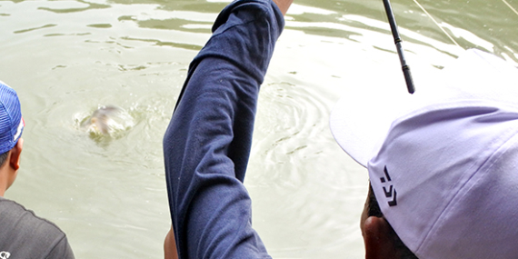 Umpan Air Tawar : Racikan Umpan Mas Paikin Merah Untuk Air Jernih & Keruh