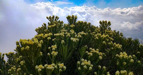 5-hal-luar-biasa-yang-baru-disadari-saat-mendaki-gunung