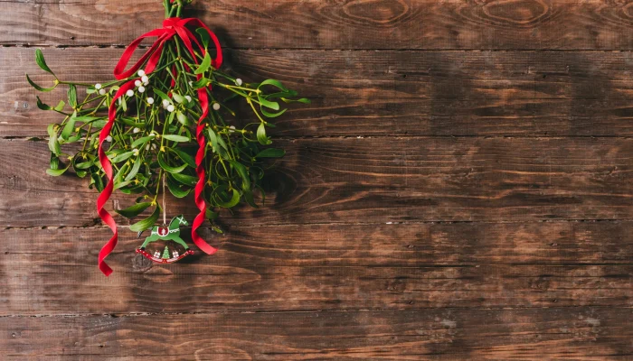 mistletoe,-simbol-sukacita-natal