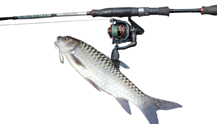 bagaimana-pengaplikasian-bait-finesse-system?