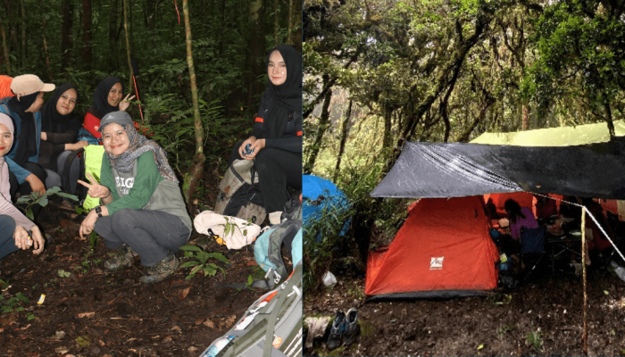 melihat-langsung-pesona-hutan-lumut-di-puncak-gunung-bae-aceh-besar