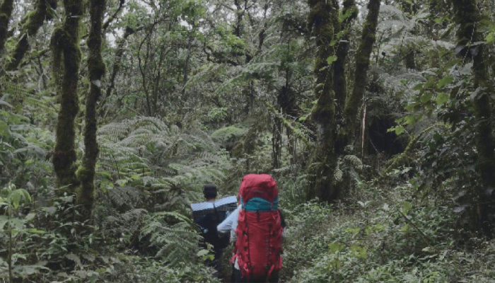 antara-petualangan-dan-pelestarian:-mapala-dalam-upaya-konservasi-alam