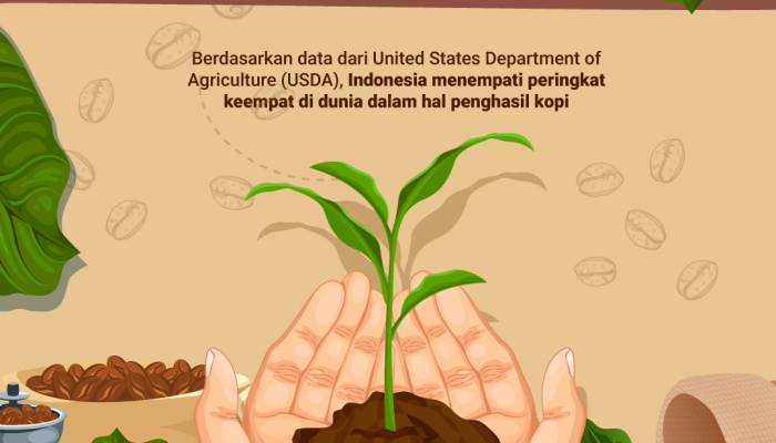 indonesia-penghasil-kopi-terbesar-ke-4-di-dunia