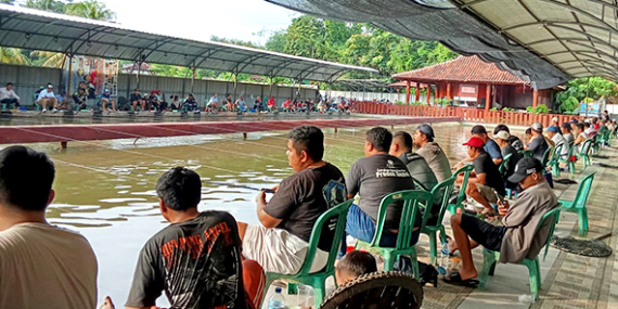 Maniak Galapung Rayakan Anniversary 2nd Telaga Biru 3, Induk Naik 889 Ekor