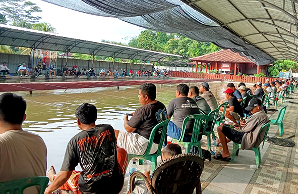 maniak-galapung-rayakan-anniversary-2nd-telaga-biru-3,-induk-naik-889-ekor