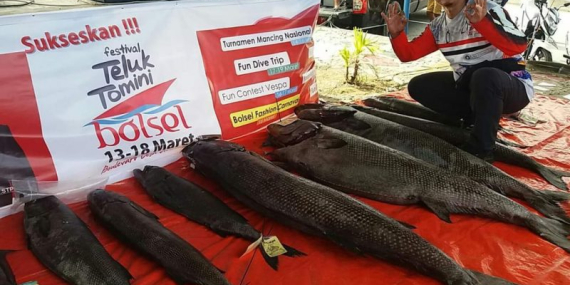 Menyibak Sarang Monster Teluk Tomini