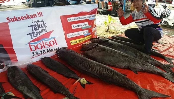 menyibak-sarang-monster-teluk-tomini