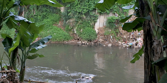 Pemancing Tewas Diterkam Buaya di Sungai Pelogor, Kutai Timur