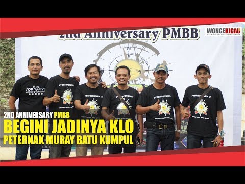 2nd ANNIVERSARY PMBB : Begini Serunya klo Komunitas Peternak Muray Batu Kumpul