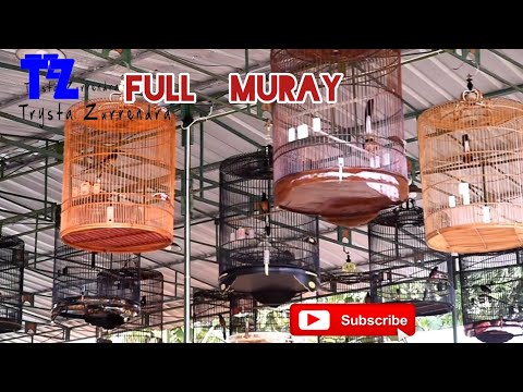 FULL DURASI KELAS KOMUNITAS MURAY BATU TOROH