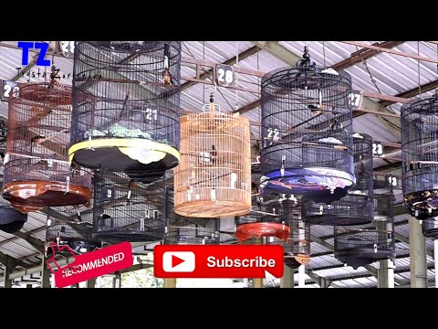 KOMPAK, KUALITAS MURAY COMBAT ( KOMUNITAS MURAY BATU TOROH )