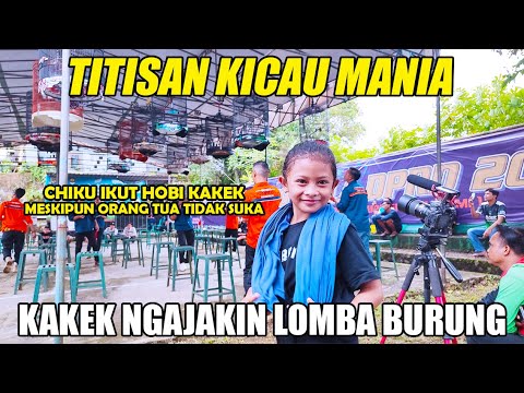 GADIS KECIL TITISAN KICAU MANIA