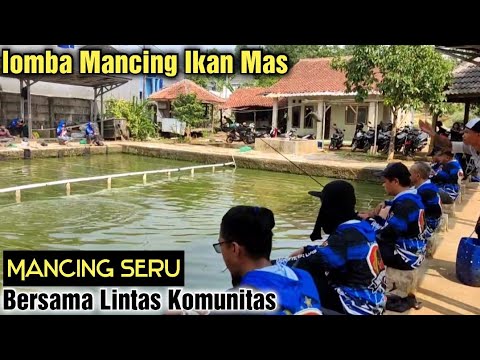 Lomba Mancing Ikan Mas || Mancing Seru Bersama Lintas Komunitas