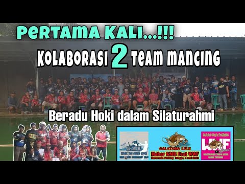 BERBAGI PIALA DI MABAR EKSKLUSIF‼️KOMUNITAS MANCING BOGOR FEAT WARA WIRI FISHING