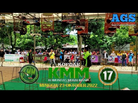 #Lomba Murai Batu – Komunitas Murai Mania