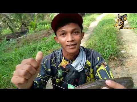 MENGHADIRI MABAR INTERNAL KOMUNITAS MANCING RIAU 25 JUNI 2023