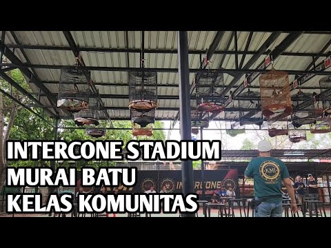 Suasana di INTERCONE STADIUM JAKARTA BARAT KELAS MURAI BATU KOMUNITAS MINGGU 13 OKTOBER 2024 #250RB