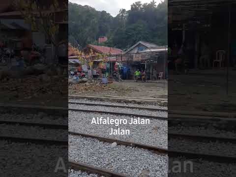 Komunitas Burung Murai Batu Gacor Kota Sawahlunto