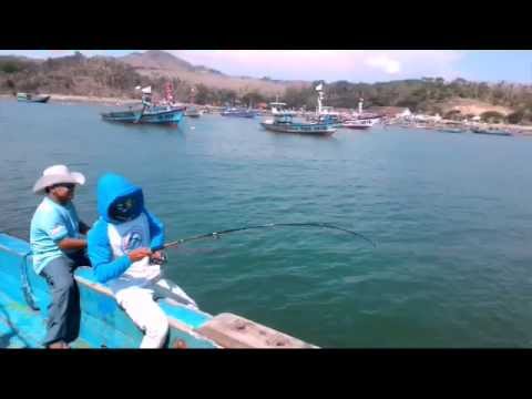 Panen Layur By Pak Gendut Komunitas Mancing Tulungagung