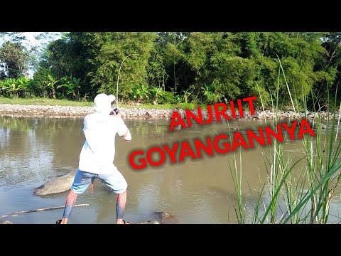 Pengakuan dari komunitas mancing pemalang setelah memakai lure #Astuti