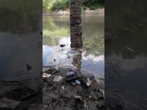 komunitas mancing pandan diri lotim
