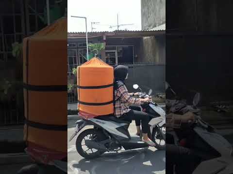 murai batu#kicau mania