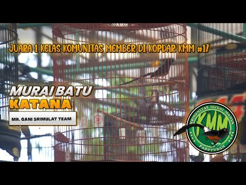 KOPDAR KMM #17 : MURAI BATU KATANA SRIMULAT TEAM JUARA 1 KELAS KOMUNITAS MEMBER