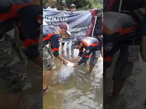 TEBAR BENIH IKAN DI SUNGAI KOMUNITAS KEMPISS #mancing #shorts #viral