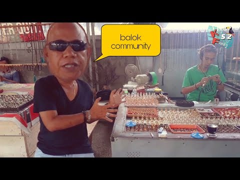 Batu Akik Tidak Mati Di Lombok ||Balok community lombok