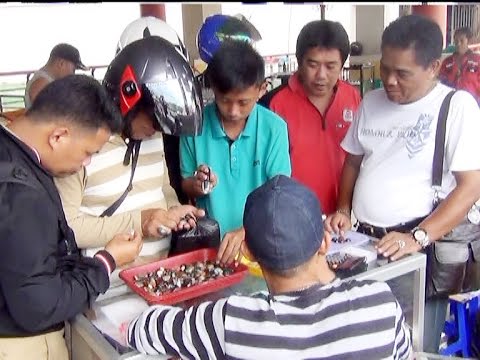 Video Pameran Batu Akik DiBerau