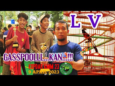 MURAI BATU ” L-V || BESUTAN Mr – SUDI NUR || SUKSES DI PODIUM 3 || KOPDAR KMM KE 23 | #muraibatu