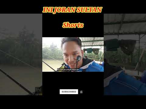 CARA UNTUK MENDAPATKAN UDANG GALAH BABON #shorts #udanggalahbabon